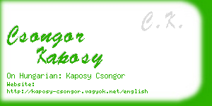 csongor kaposy business card